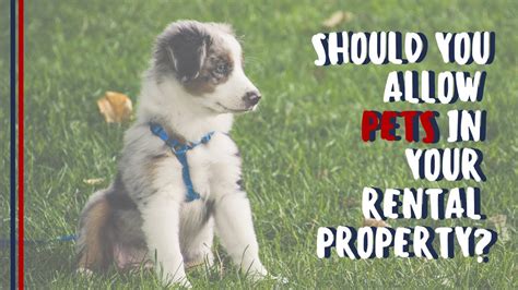 pets in rental properties law uk 2021